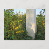 Prairie Gravestones, Bigelow Friedhof, Ohio Postkarte (Vorderseite)