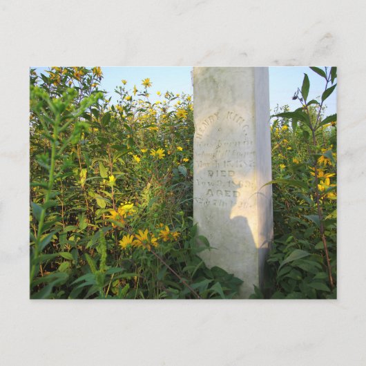 Prairie Gravestones, Bigelow Friedhof, Ohio Postkarte (Vorderseite)