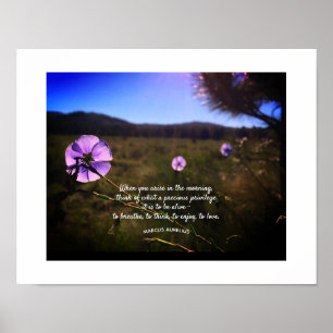 Prairie Hill Sunset Silhouette Foto Poster