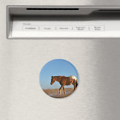 Prairie Horse Magnet (In Situ (Geschirrspüler))