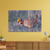Prairie-Huhn, Tympanuchus Leinwanddruck (Insitu (Wohnzimmer))