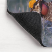 Prairie-Huhn, Tympanuchus Mousepad (Ecke)