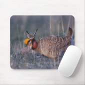 Prairie-Huhn, Tympanuchus Mousepad (Mit Mouse)