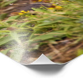 Prairie Hund Cynomys Fotodruck (Ecke)