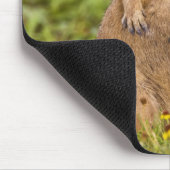 Prairie Hund Cynomys Mousepad (Ecke)