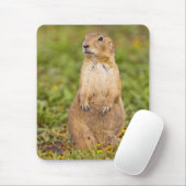 Prairie Hund Cynomys Mousepad (Mit Mouse)