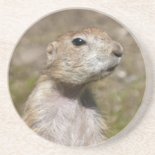 Prairie-Hund Getränkeuntersetzer