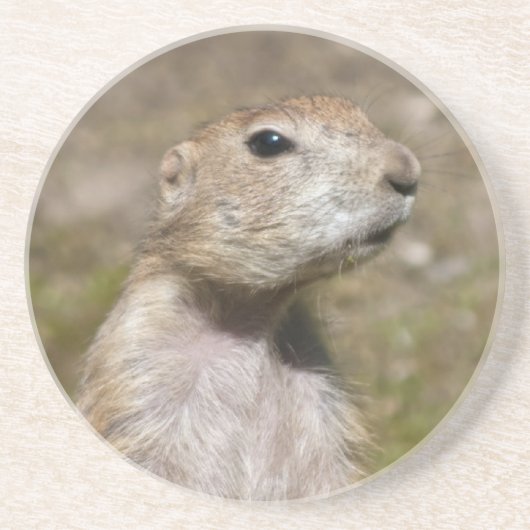 Prairie-Hund Getränkeuntersetzer (Vorne)