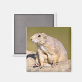 Prairie-Hund Magnet (Vorderseite/Rückseite)