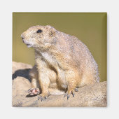 Prairie-Hund Magnet (Vorne)