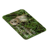 Prairie Hund Stehend, Essen im Gras, Windhöhle Magnet (Rechte Seite)