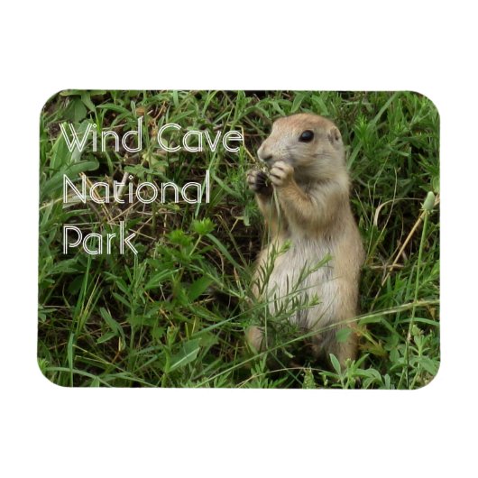 Prairie Hund Stehend, Essen im Gras, Windhöhle Magnet (Horizontal)