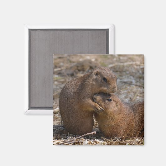 Prairie-Hunde Magnet (Vorderseite/Rückseite)