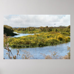 Prairie in Bloom Art Poster -36x24 - andere Größen