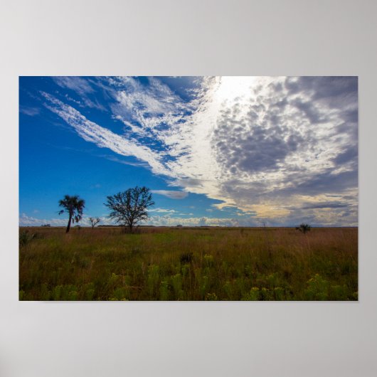 Prairie, Kissimmee Prairie Preserve Staat Park, FL Poster (Vorne)