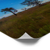 Prairie, Kissimmee Prairie Preserve Staat Park, FL Poster (Ecke)