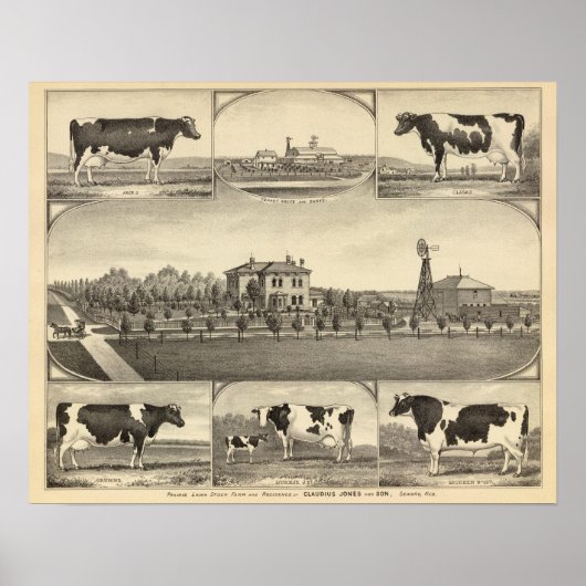 Prairie Lawn Farm, Nebraska Poster (Vorne)