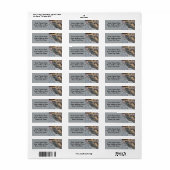 Prairie Lizard (Vorne)