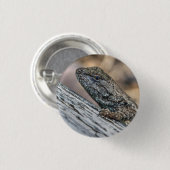 Prairie Lizard Button (Vorne & Hinten)