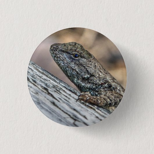 Prairie Lizard Button (Vorderseite)
