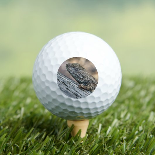 Prairie Lizard Golfball (Insitu T-Shirt)