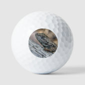 Prairie Lizard Golfball (Vorderseite)