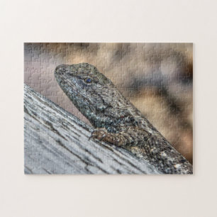 Prairie Lizard Puzzle