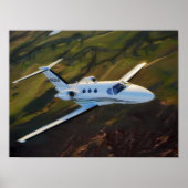 Prairie Mustang Poster (Vorne)