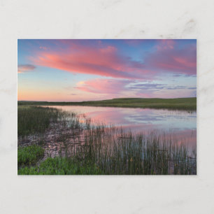 Prairie Pond Reflects Brilliant Sunrise Clouds Postkarte