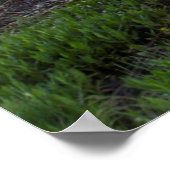 Prairie Pond reflektiert brillante Sonnenaufgangsw Poster (Ecke)