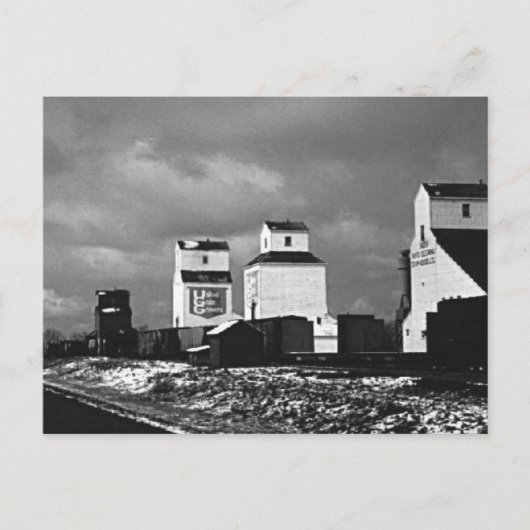 Prairie Postkarte (Vorderseite)