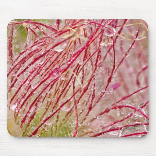 Prairie Rauch im Regen bei Theodore Mousepad (Vorne)