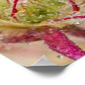 Prairie Smoke im Regen am Theodore Poster (Ecke)