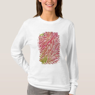 Prairie Smoke im Regen bei Theodore T-Shirt