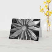 Prairie Sun Rudbeckia B&W Karte (Gelbe Blume)