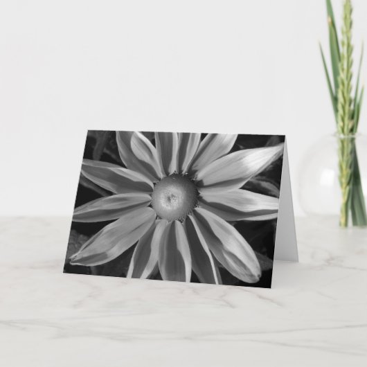 Prairie Sun Rudbeckia B&W Karte (Vorderseite)