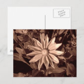 Prairie Sun Rudbeckia - Sepia Postkarte (Vorne/Hinten)