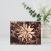 Prairie Sun Rudbeckia - Sepia Postkarte (Stehend Vorderseite)
