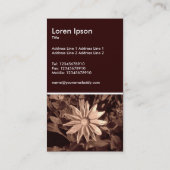 Prairie Sun Rudbeckia Visitenkarte (Rückseite)