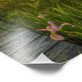 Prairie Sunset Fotodruck (Ecke)