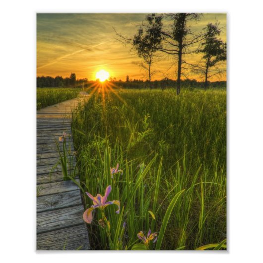 Prairie Sunset Fotodruck (Vorne)