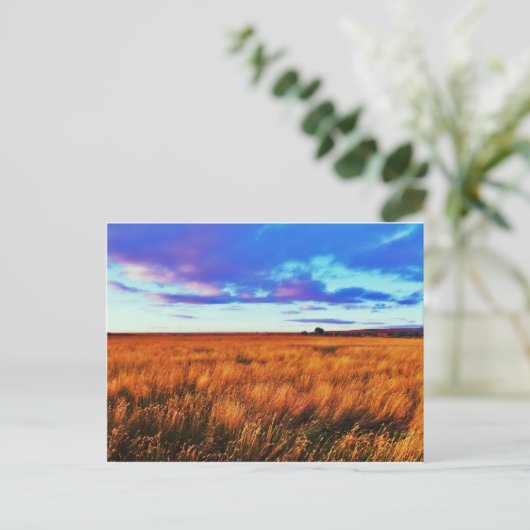 Prairie Sunset Postkarte (Stehend Vorderseite)
