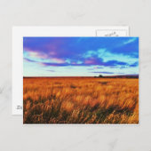 Prairie Sunset Postkarte (Vorne/Hinten)