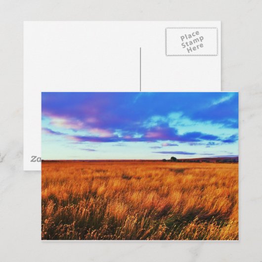 Prairie Sunset Postkarte (Vorne/Hinten)