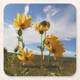 Prairie Sunset quadratischer Papieruntersetzer Rechteckiger Pappuntersetzer