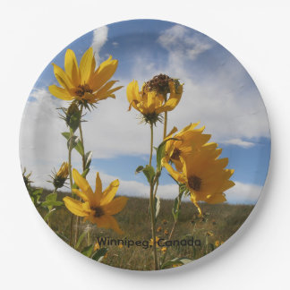 Prairie Sunset round paper plate Pappteller