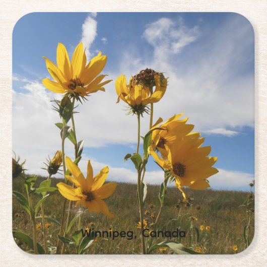 Prairie Sunset square paper coaster Rechteckiger Pappuntersetzer (Vorderseite)