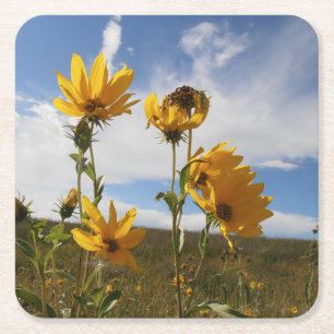 Prairie Sunset Square Paper Untersetzer