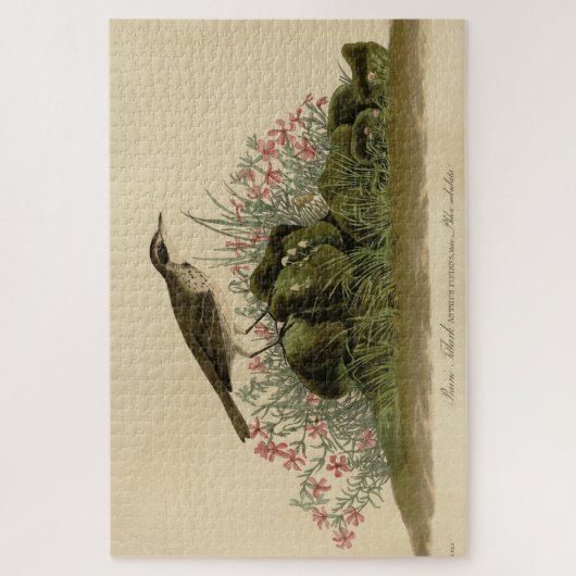 Prairie Titlark (Pipit) Audubons Vögel von Amerika Puzzle (Vertikal)