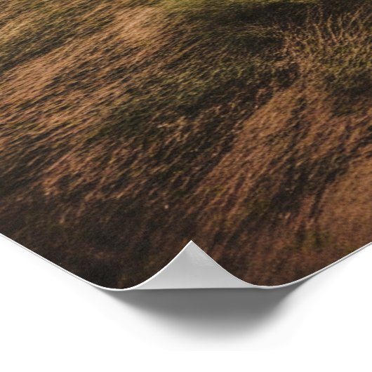 Prairie Tornado Large Ungerahmt Tornado Poster (Ecke)